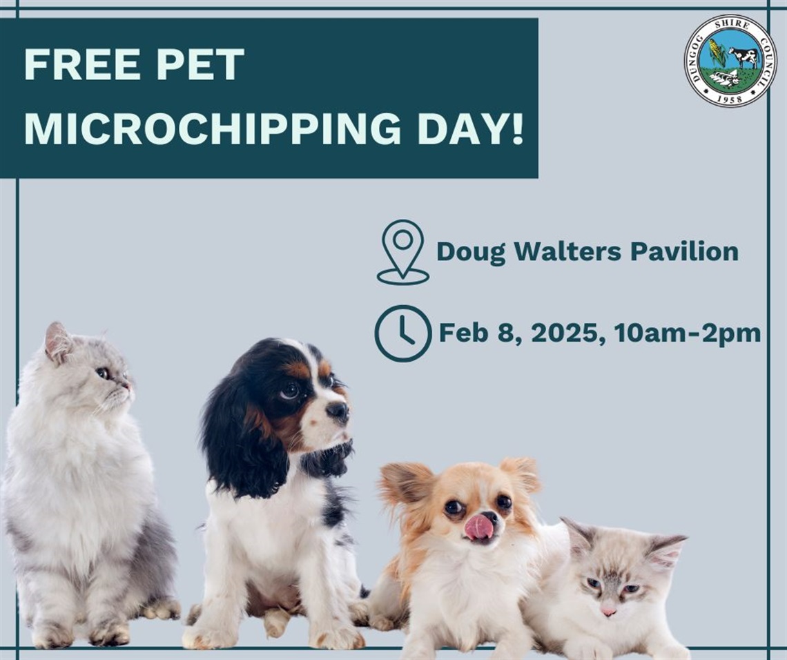 pet microchip day.jpg